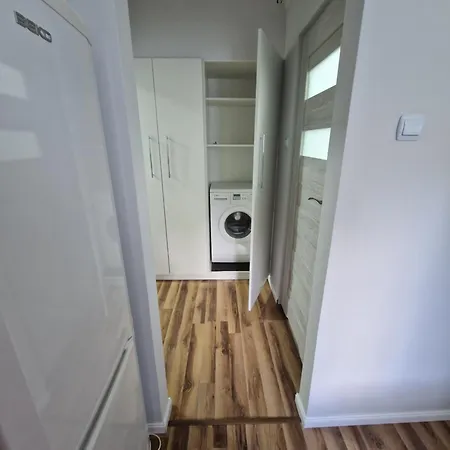 Apartament Sawago Mieszkanie Fabryczna Przy Parku